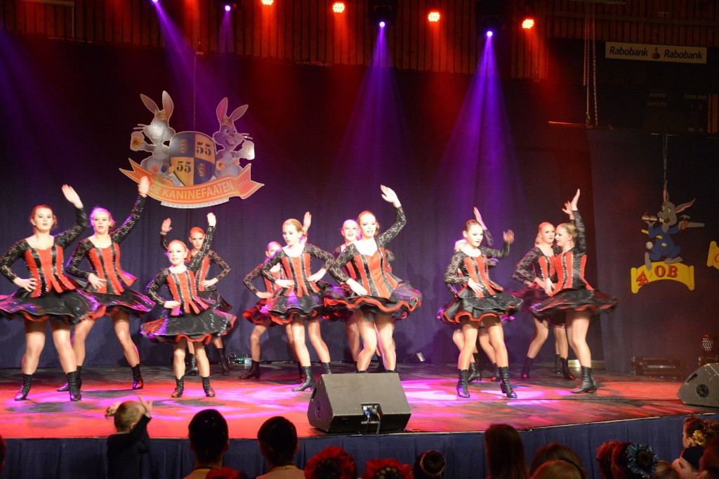 ../Images/Dansmarieke festival 2015 164.jpg
